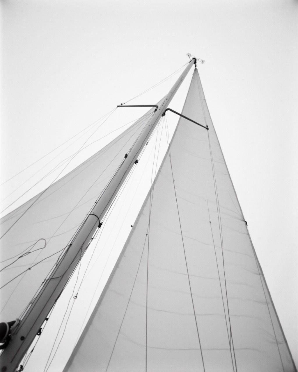 Looking up a sailboat mast between two sails